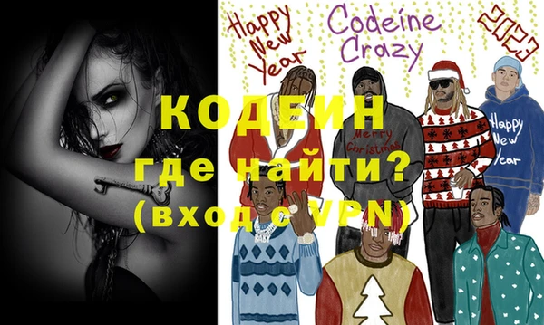 мдпв Вяземский