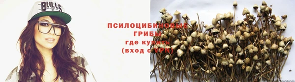 2c-b Куйбышев