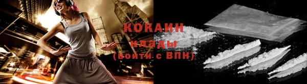 шишки Вязьма