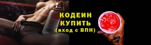 шишки Вязьма