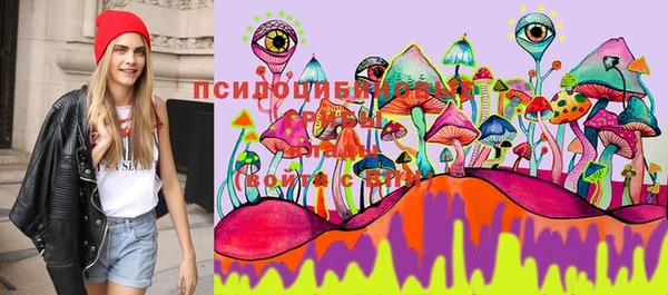 МДПВ Волосово
