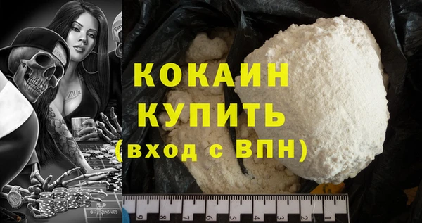 мдпв Вяземский